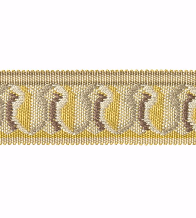 Embroidered Braid 30mm Trimming by Houles Jaune Celeste