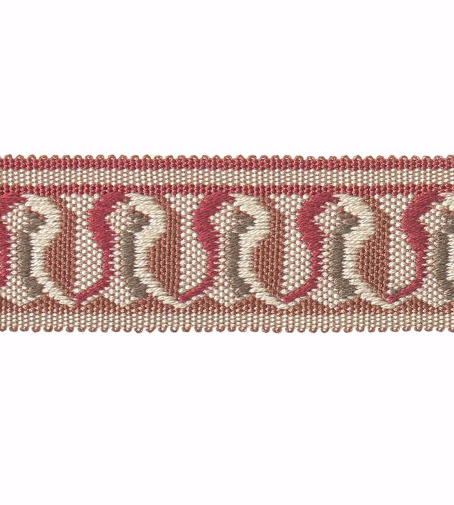 Embroidered Braid 30mm Trimming by Houles Rouge Cardinalis