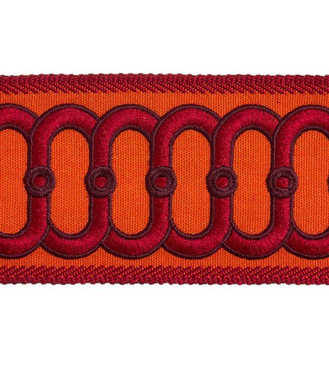Embroidered Braid 75mm Trimming by Houles Acajou