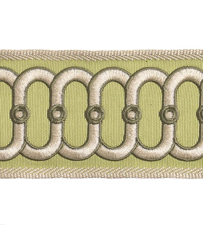 Embroidered Braid 75mm Trimming by Houles Galuchat