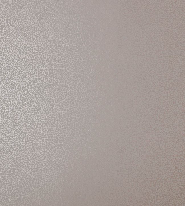 Emile Wallpaper by 1838 Wallcoverings Rose