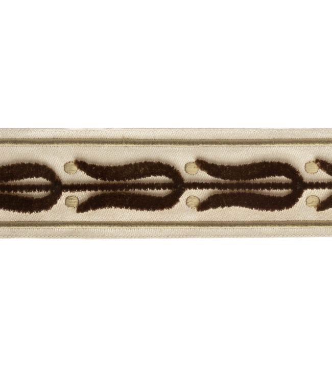 Emile Velvet Border Trimming by Samuel & Sons Laurel