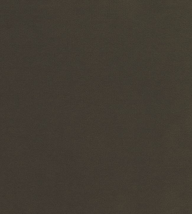 Encore Velvet Fabric by Osborne & Little Brown