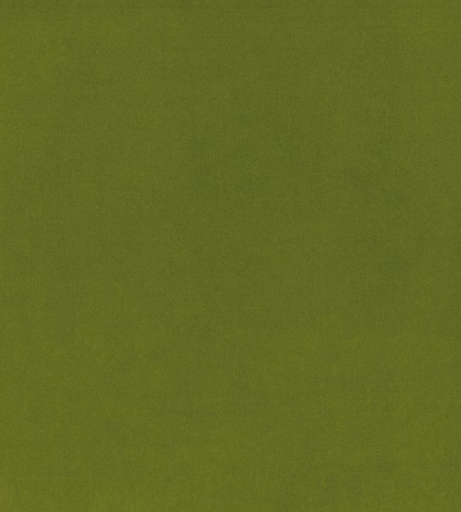 Encore Velvet Fabric by Osborne & Little Frog