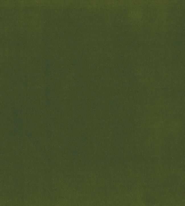 Encore Velvet Fabric by Osborne & Little Green