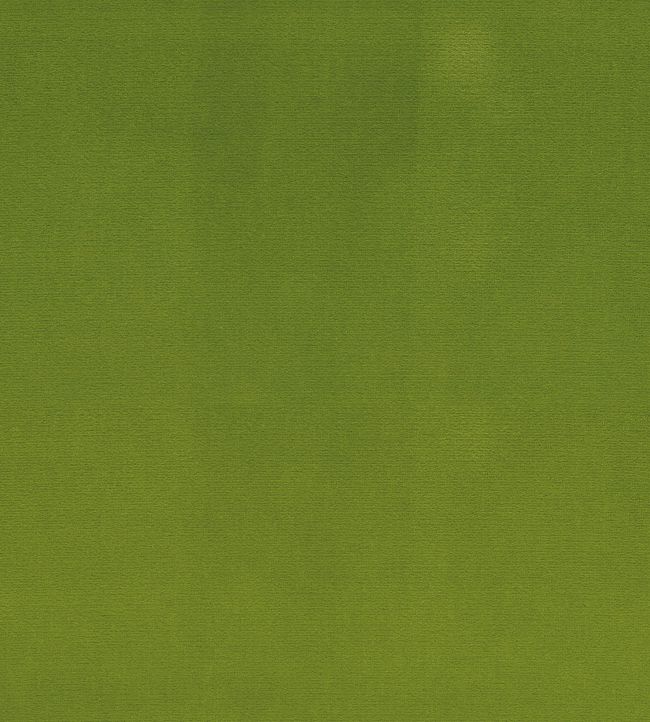 Encore Velvet Fabric by Osborne & Little Grass