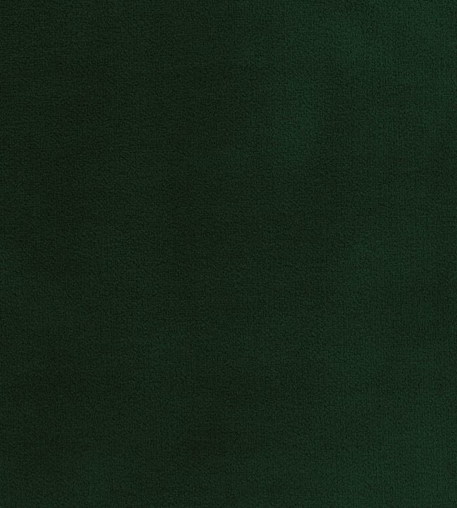 Encore Velvet Fabric by Osborne & Little Dark Green