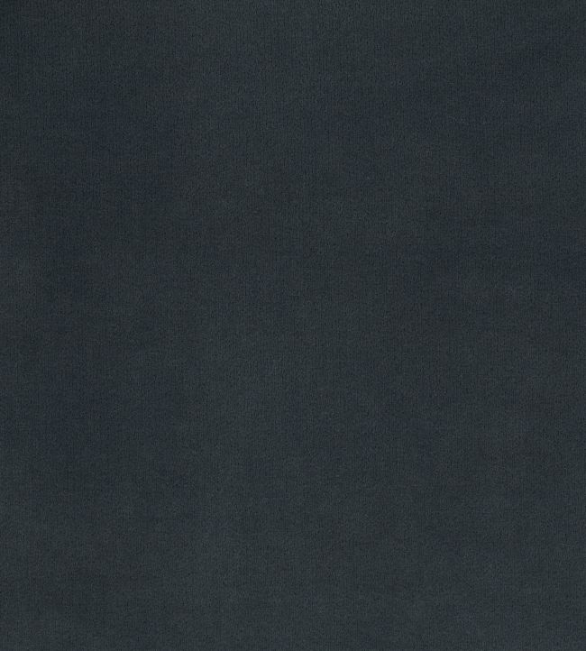 Encore Velvet Fabric by Osborne & Little Spruce