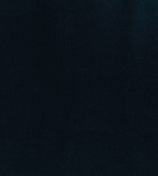 Encore Velvet Fabric by Osborne & Little Midnight