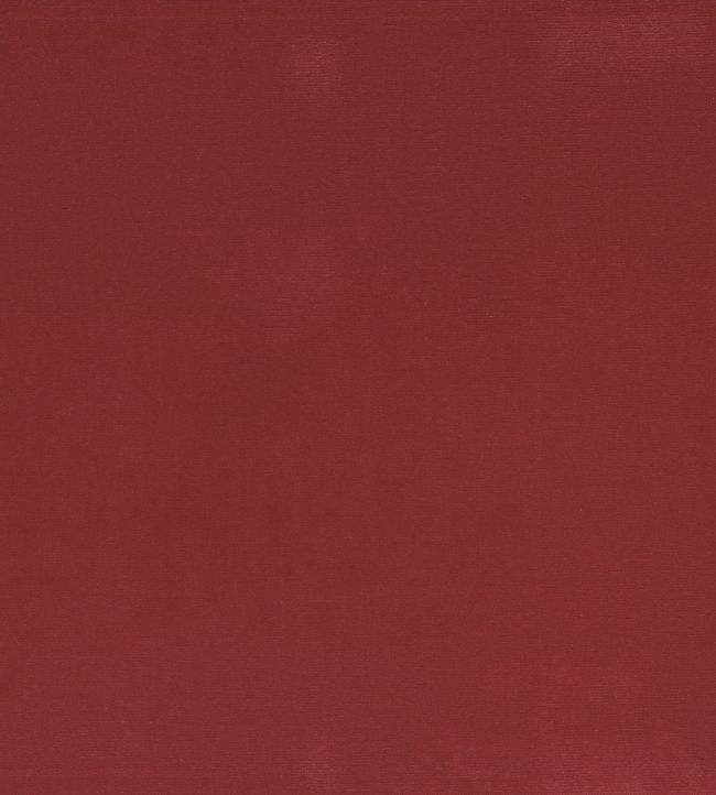 Encore Velvet Fabric by Osborne & Little Tomato