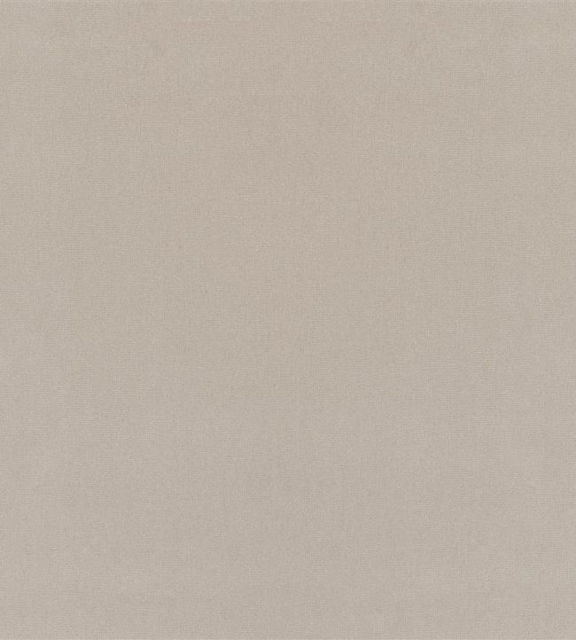 English Riding Velvet Fabric by Ralph Lauren Dove
