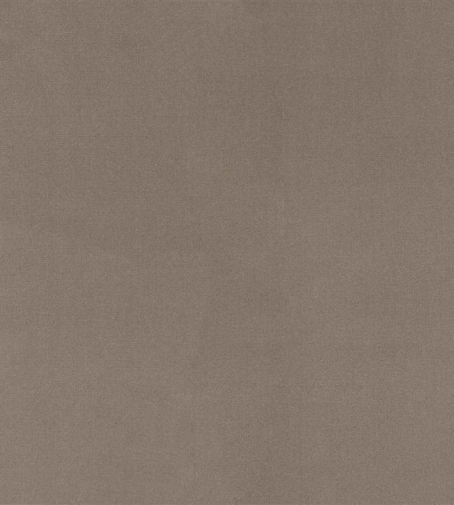 English Riding Velvet Fabric by Ralph Lauren Grey
