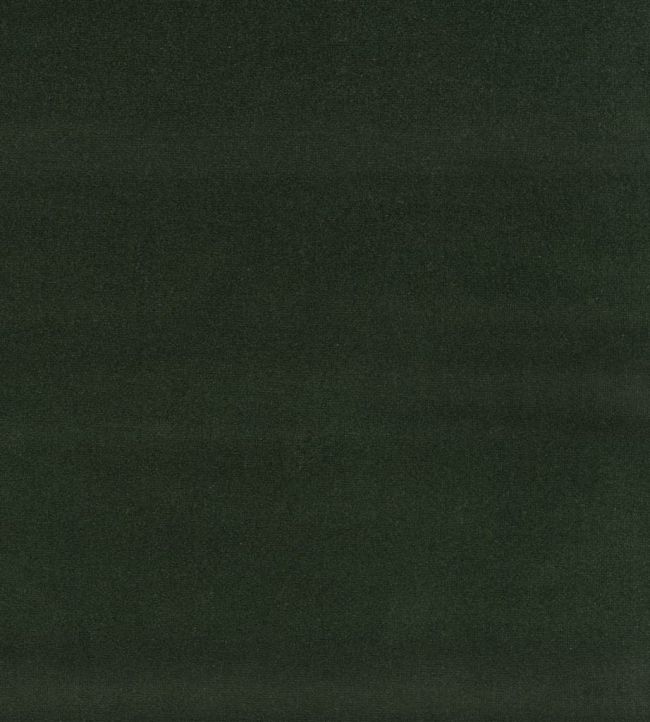 English Riding Velvet Fabric by Ralph Lauren Hunter