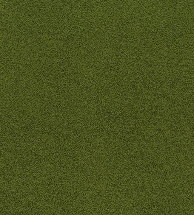 Ennerdale Fabric by Osborne & Little Olive