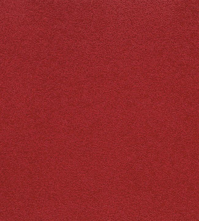 Ennerdale Fabric by Osborne & Little Poppy