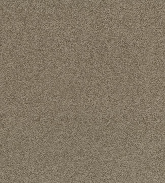 Ennerdale Fabric by Osborne & Little Taupe