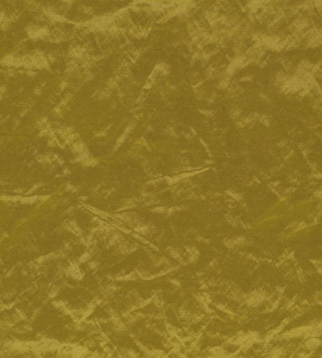 Enzo Fabric by Zinc Olive