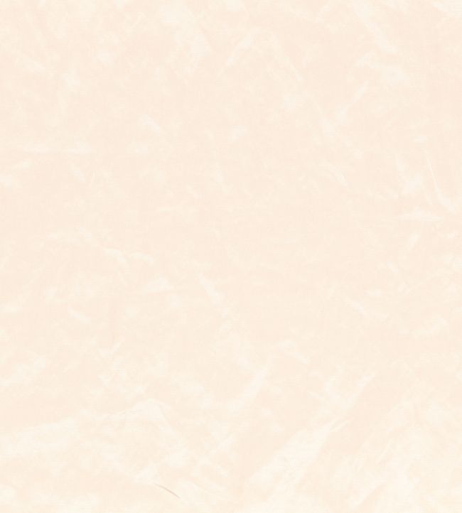 Enzo Fabric by Zinc Putty