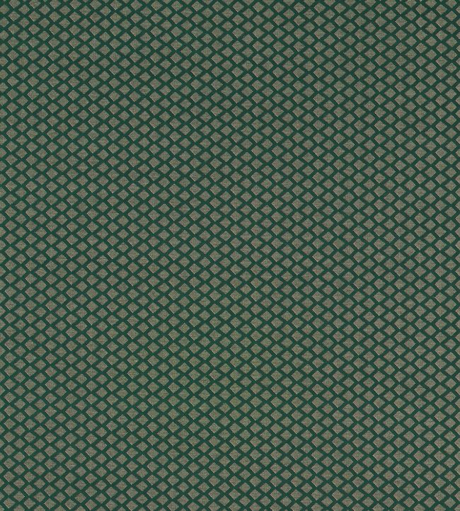 Equator Fabric by Clarke & Clarke Forest