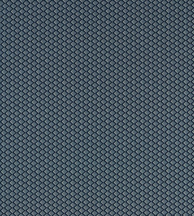 Equator Fabric by Clarke & Clarke Midnight