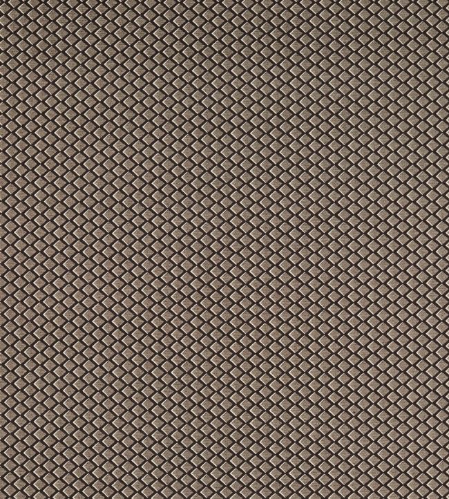 Equator Fabric by Clarke & Clarke Noir