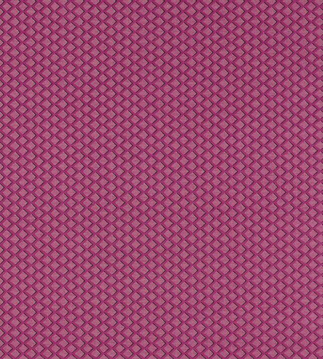 Equator Fabric by Clarke & Clarke Raspberry