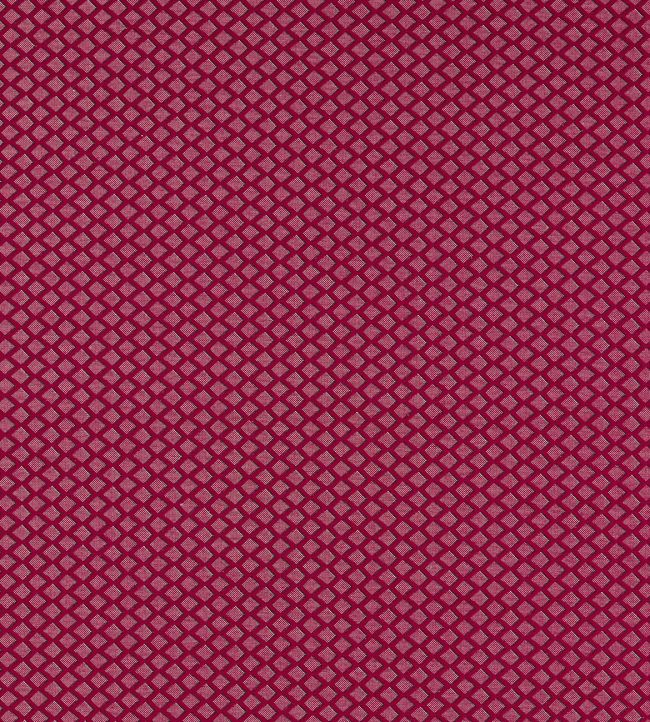 Equator Fabric by Clarke & Clarke Ruby