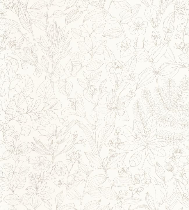 Esquisse Wallpaper by Casadeco Beige Lin