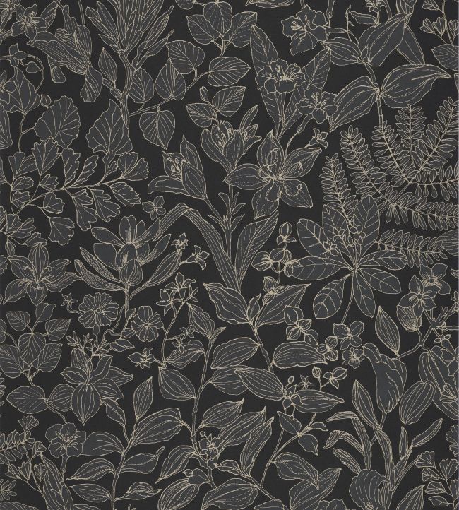 Esquisse Wallpaper by Casadeco Noir Fusain