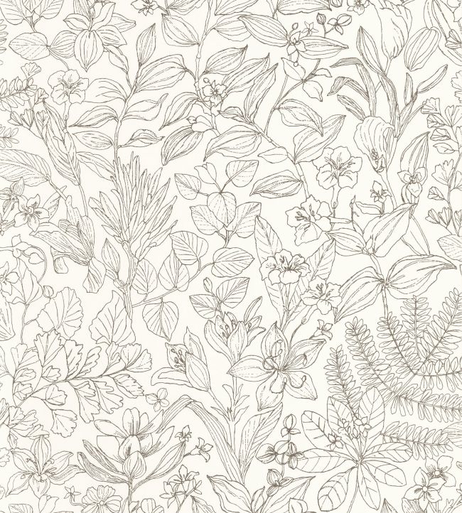 Esquisse Wallpaper by Casadeco Noir Gravure