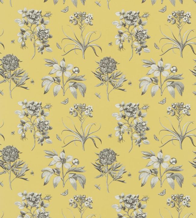 Etchings & Roses Fabric by Sanderson Empire Yellow