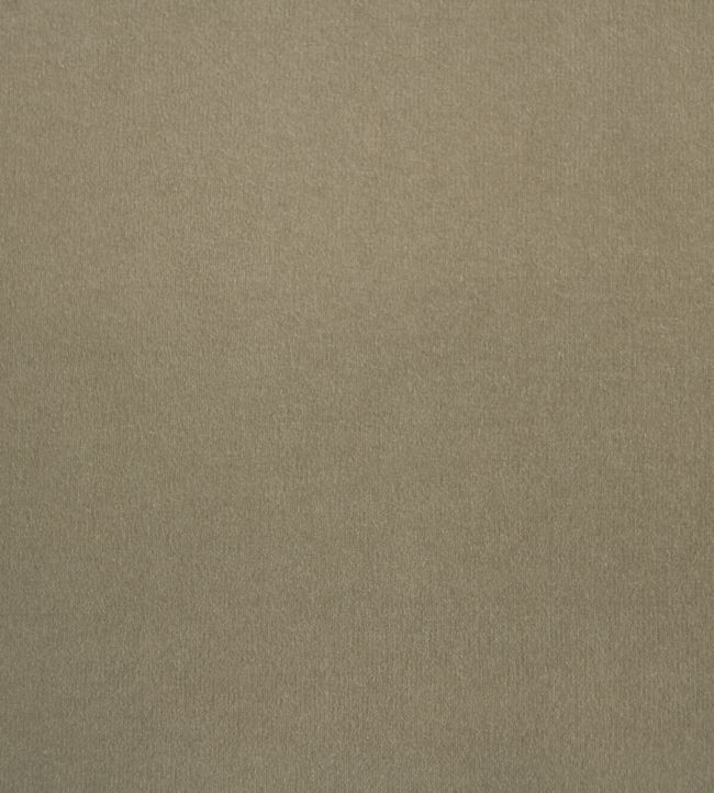 Eternal Fabric by Lizzo Taupe