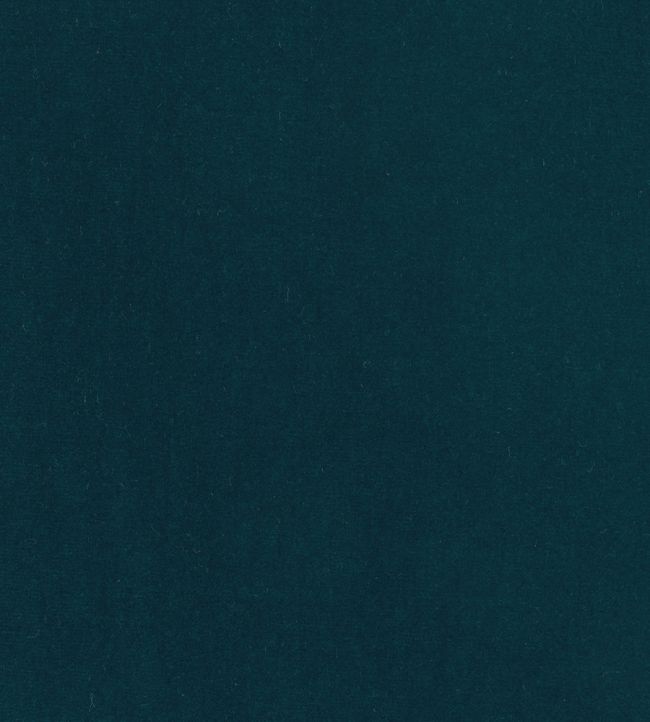 Eternal Fabric by Lizzo Ocean