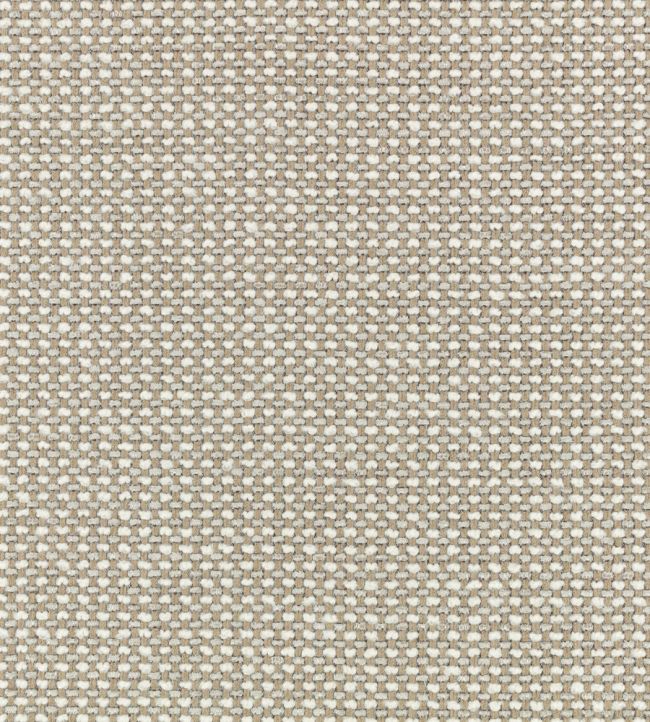 Etitto Fabric by Black Edition Pampas