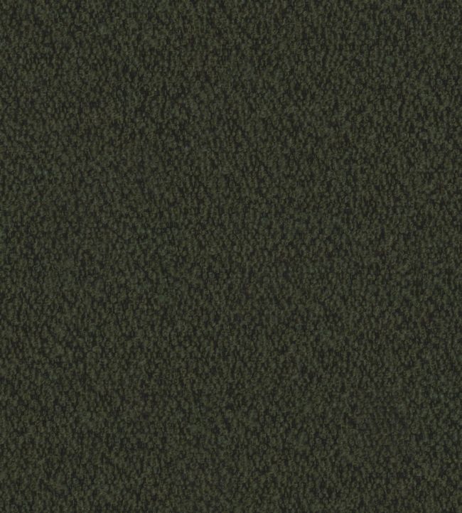 Everest Fabric by Warwick Fern