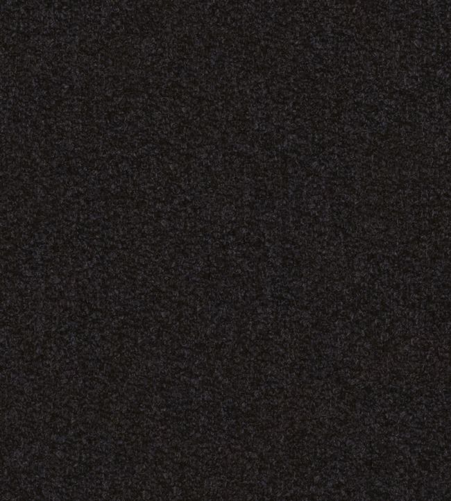 Everest Fabric by Warwick Onyx