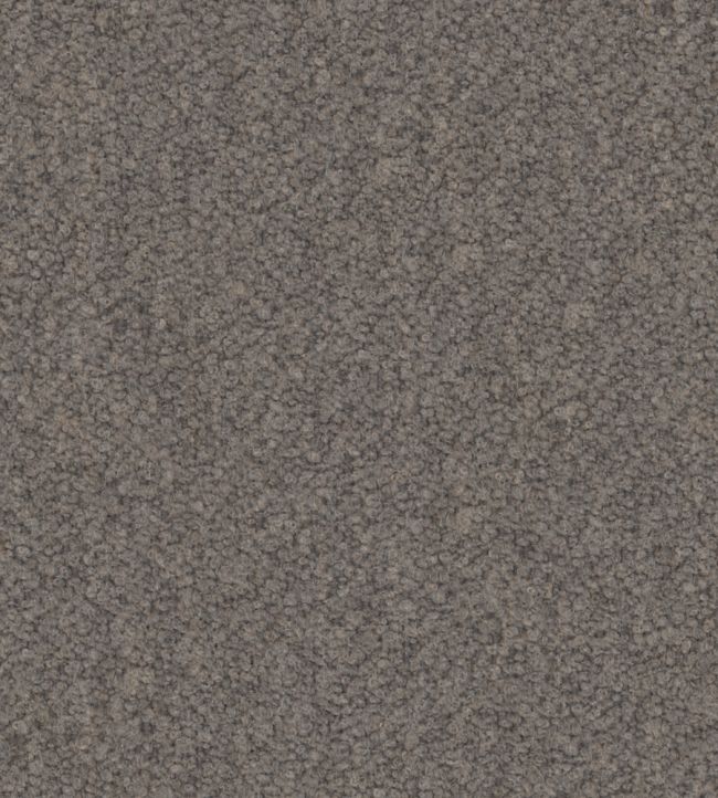 Everest Fabric by Warwick Steel