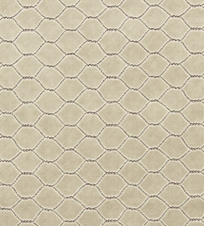 Faraday Velvet Fabric by Sanderson Pinenut