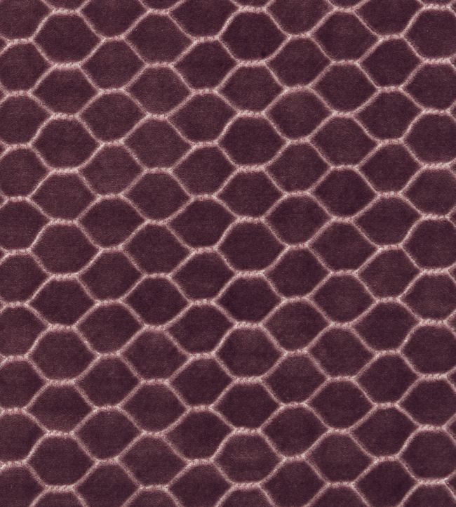 Faraday Velvet Fabric by Sanderson Plum