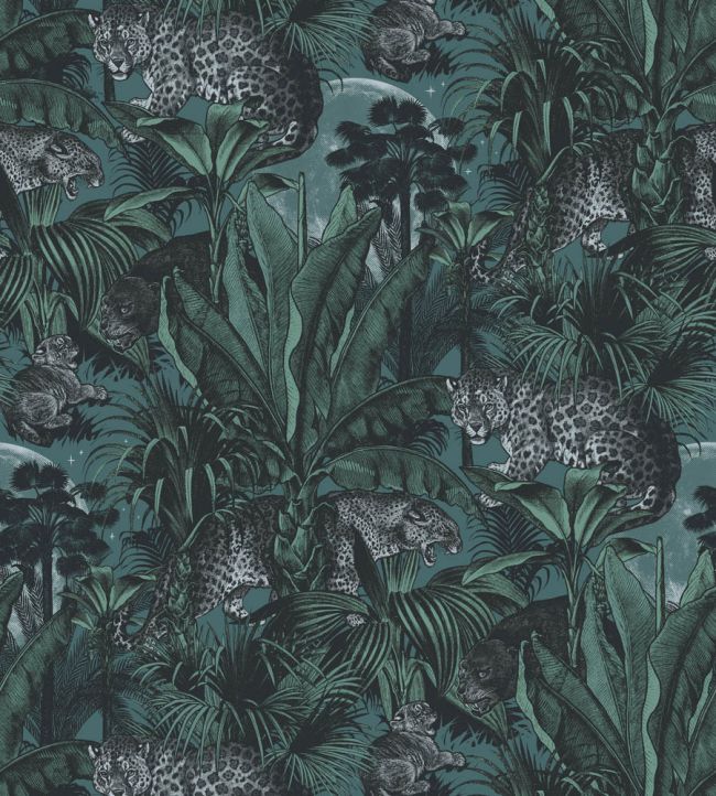 Faunacation Wallpaper by Divine Savages Jungle