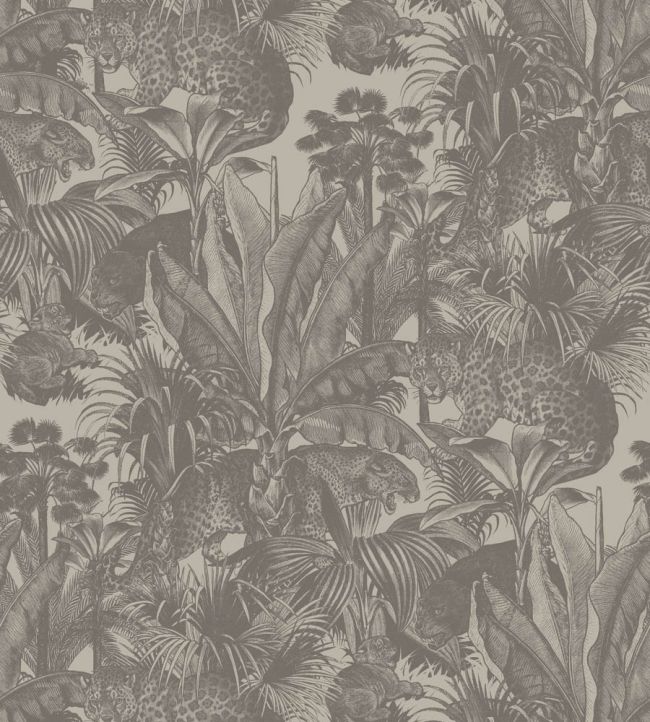 Faunacation Wallpaper by Divine Savages Savannah Gold