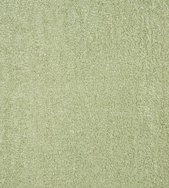 Fergus Fabric by Prestigious Textiles Basil