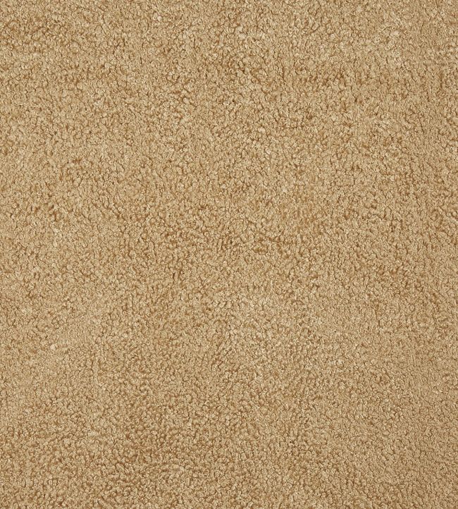 Fergus Fabric by Prestigious Textiles Honey