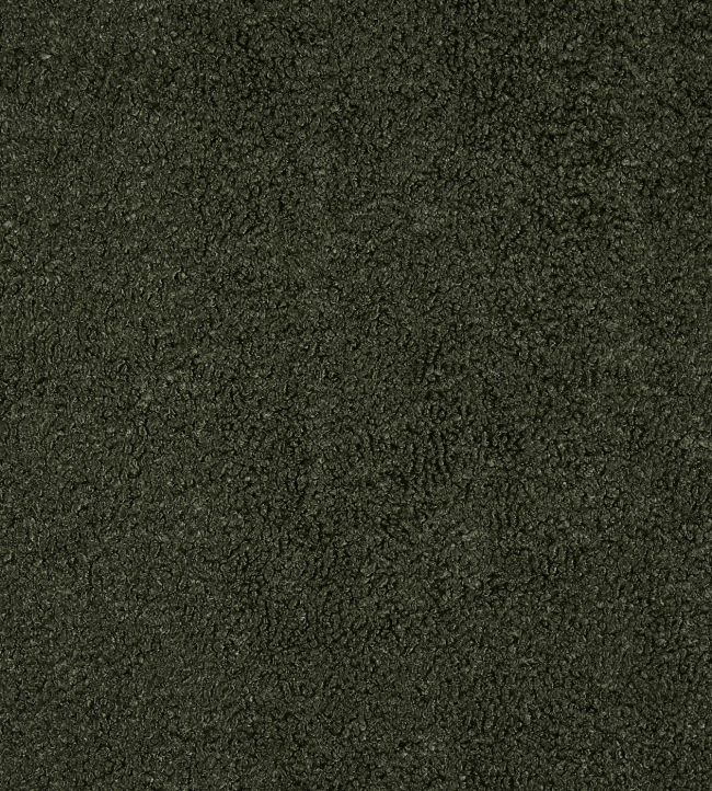 Fergus Fabric by Prestigious Textiles Moss