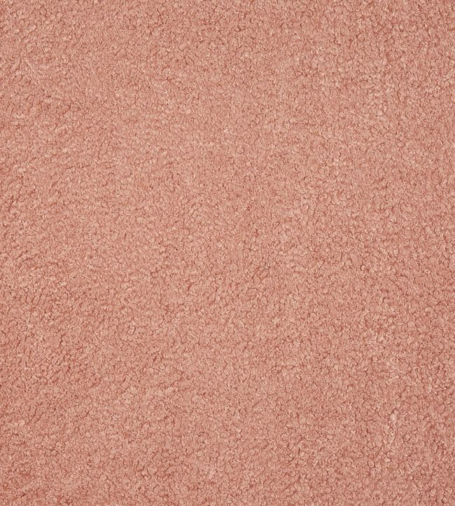Fergus Fabric by Prestigious Textiles Petal