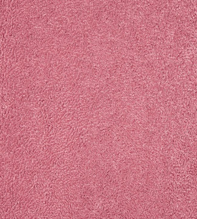 Fergus Fabric by Prestigious Textiles Raspberry