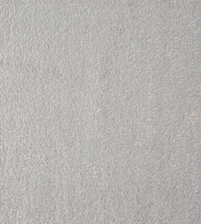 Fergus Fabric by Prestigious Textiles Sterling