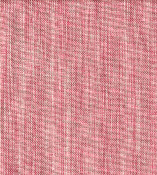 Plain Linen Fabric by Fermoie Colonel