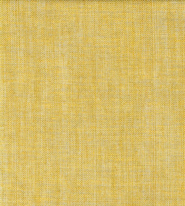 Plain Linen Fabric by Fermoie Chantarelle