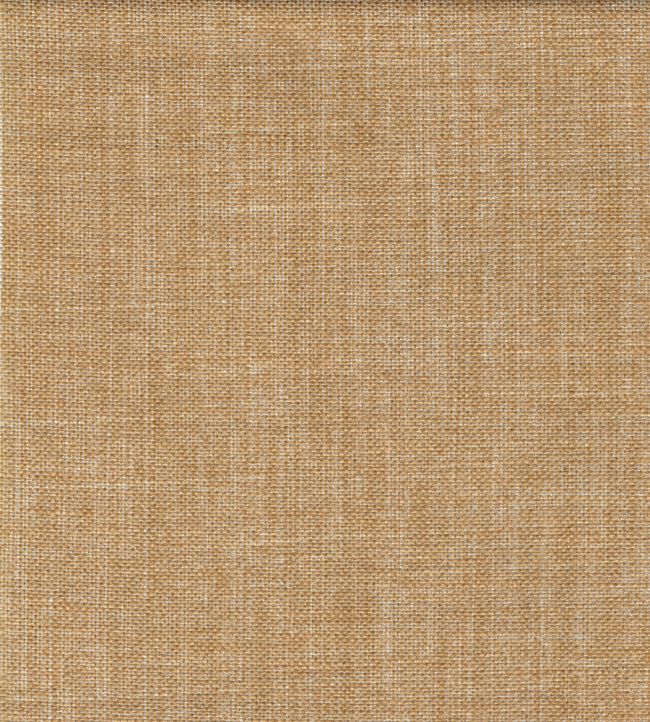 Plain Linen Fabric by Fermoie Kippered